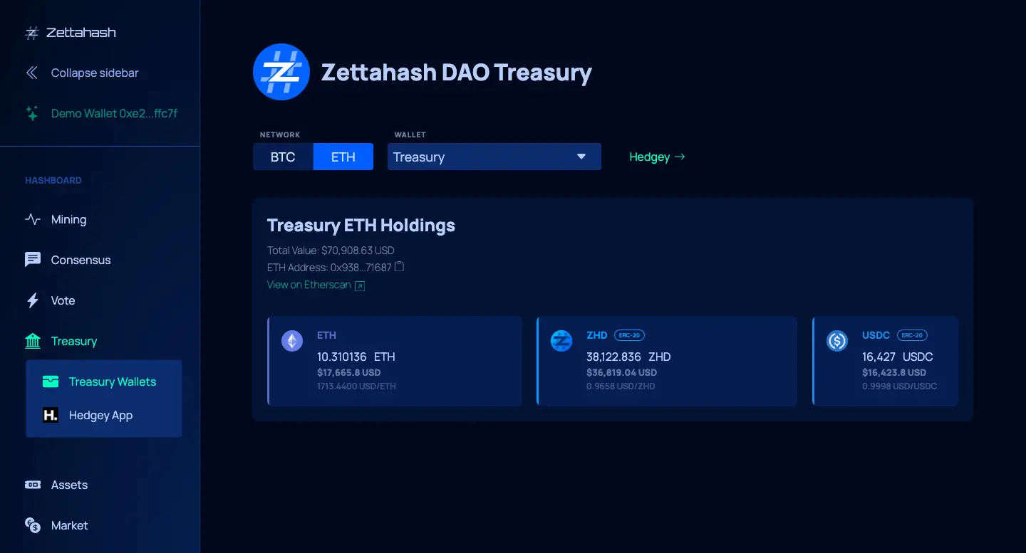 Hashboard treasury summary showing holdings and financial context